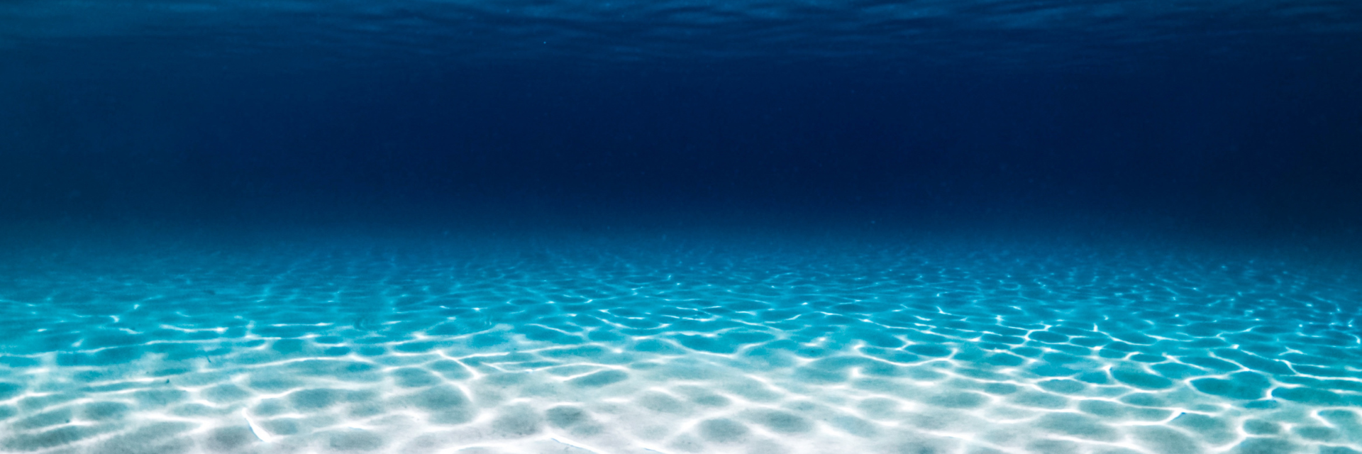 Robots piscine electrique tout piscine